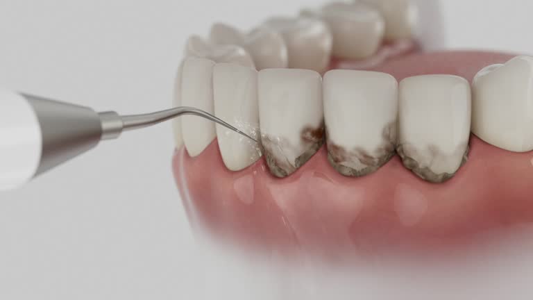 Reliable Dental contractor in Biscoe, NC by Dentist Open Now